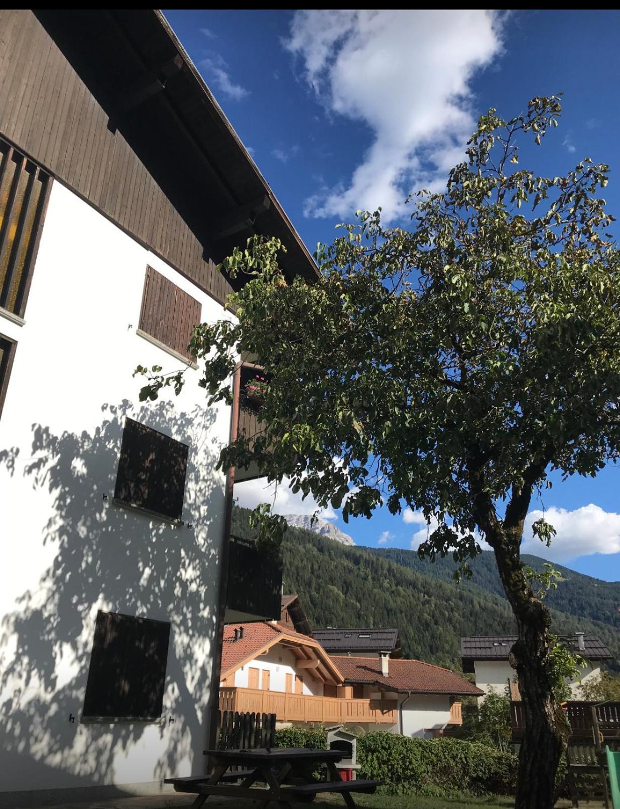 Care Alto Apartamento Carisolo Exterior foto
