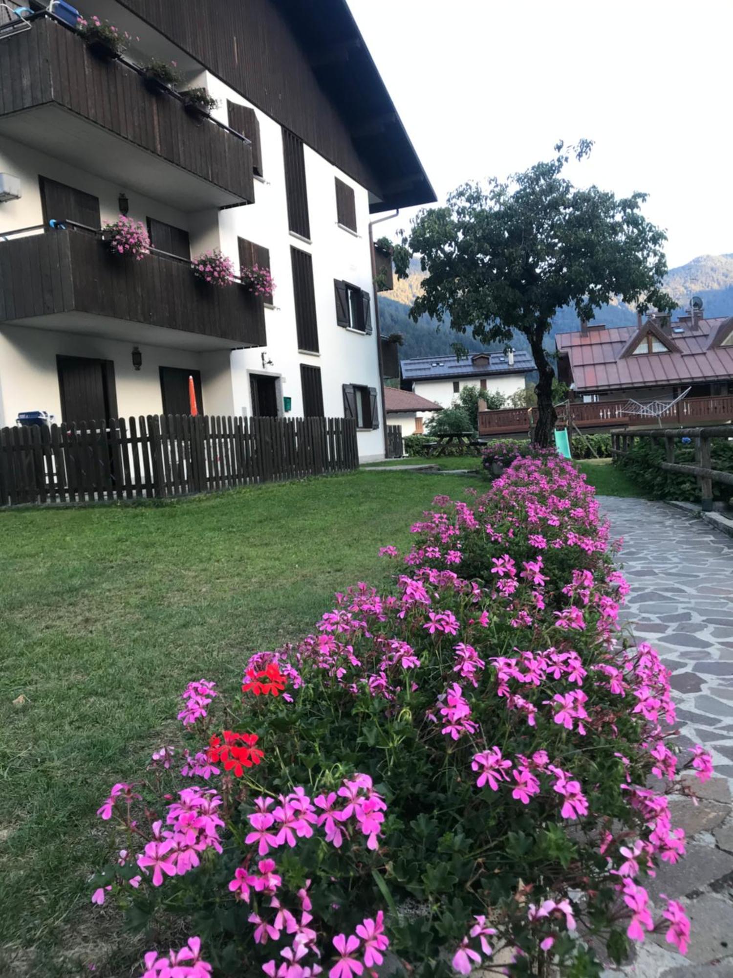 Care Alto Apartamento Carisolo Exterior foto